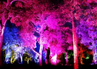 徳島LEDアートフェスティバル2016